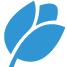 QUEEN ROSE® logo